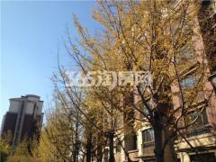 天津新房网_2014天津楼市房价_天津热门新房