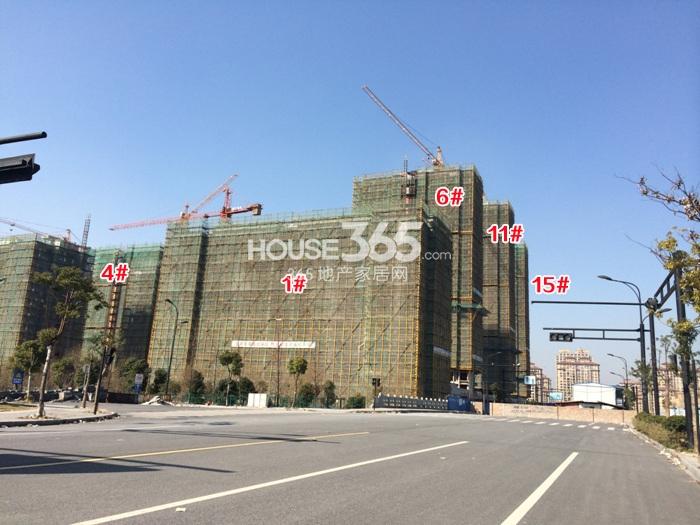 2015年2月大家运河之星项目实景--1、4、6、11、15号楼