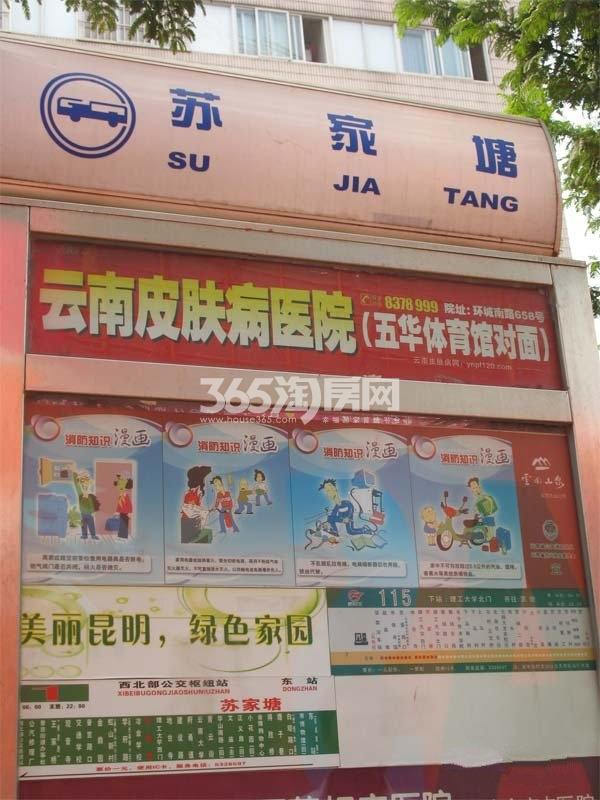 合肥瑶海区在售楼盘