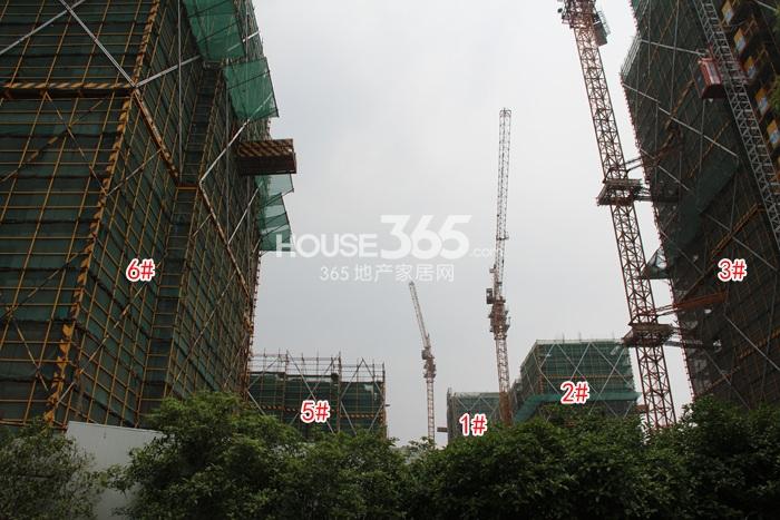 2015年5月紫元尚堂项目实景--1、2、3、5、6号楼
