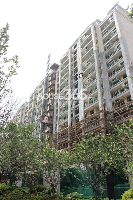 天阳晴朗项目2号楼施工实景图 2015年5月摄