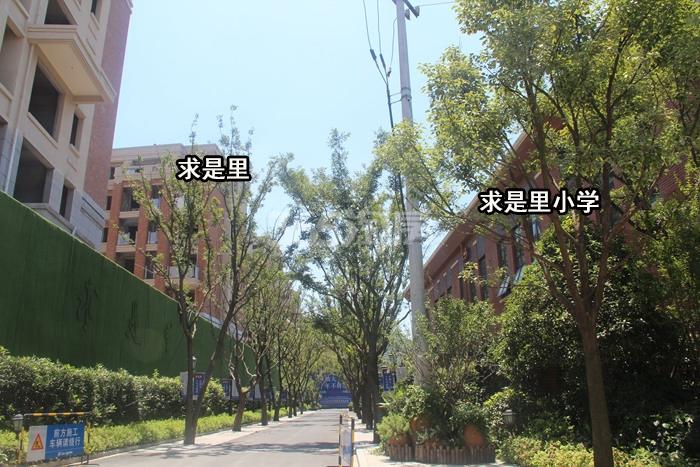 坤和求是里项目周边配套——求是里小学