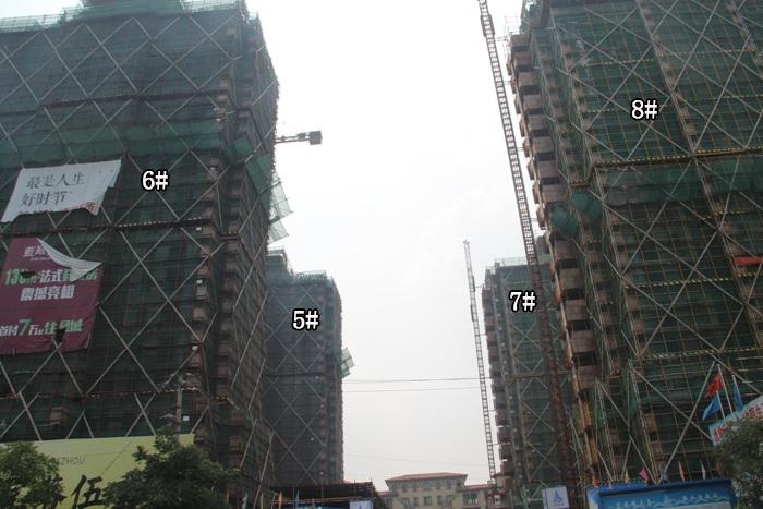 绿城蓝庭项目5—8号楼施工进程图（2015.8）
