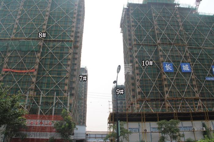 绿城蓝庭项目7—10号楼施工进程图（2015.8）