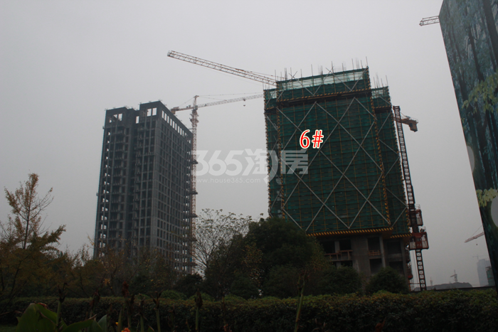 龙湖旭辉春江悦茗6号楼施工进度实景图 2015年11月摄