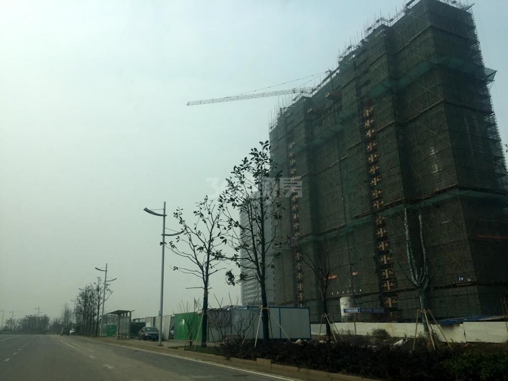 中海国际社区在建楼栋实景图（12.22）