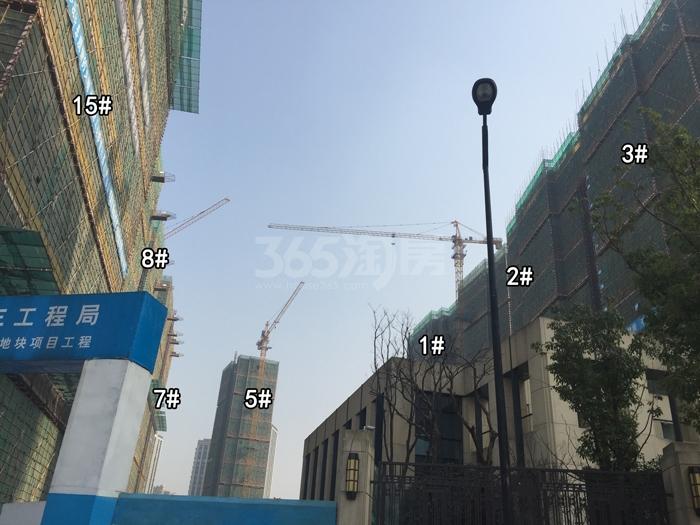 2015年12月黄龙金茂悦项目实景--1、2、3、5、7、8、15号楼