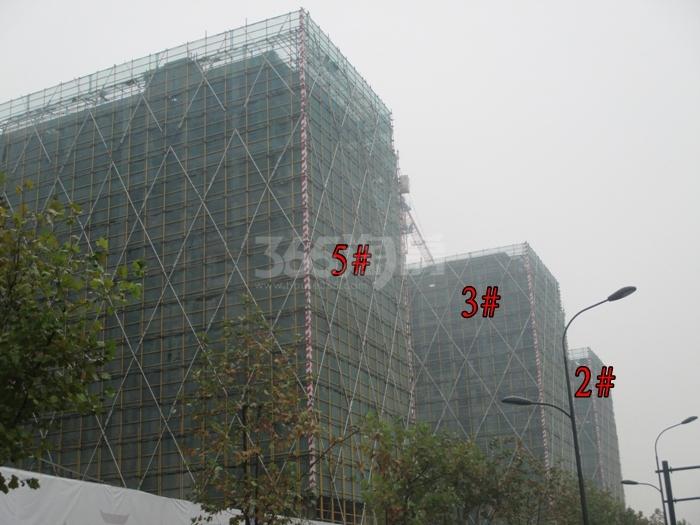 德信浙旅东宸2、3、5号楼施工进度实景图 2015年12月摄