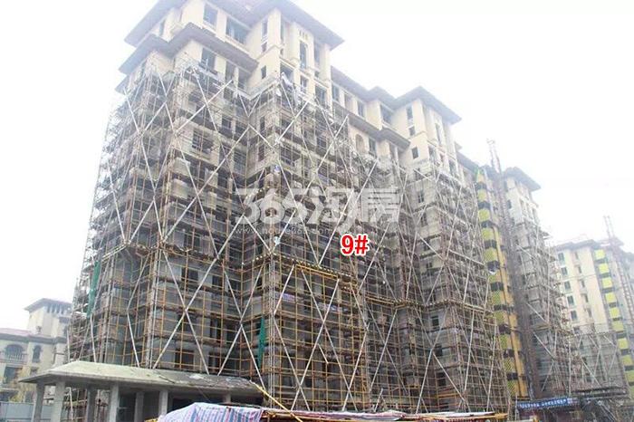 绿城蓝庭项目9号楼施工进程图（2015.12）