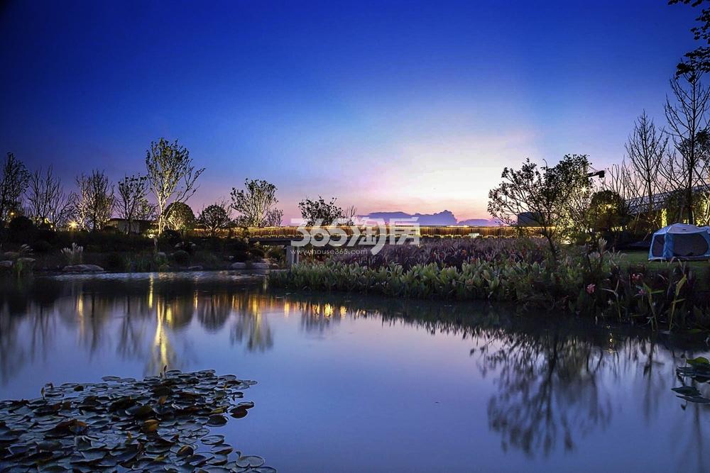 万科溪望示范区实景图-湿地公园夜景图
