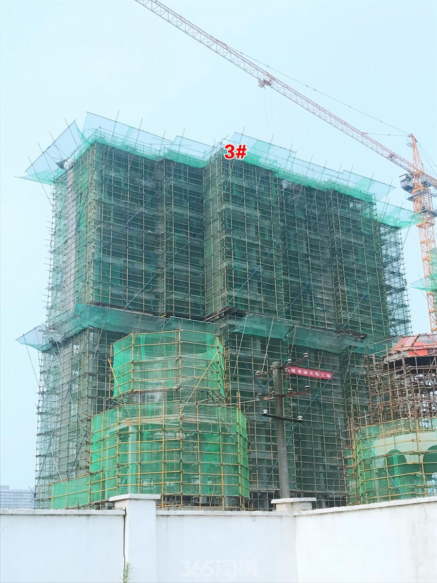 信德悦城3#工程进度（2017.7摄）	